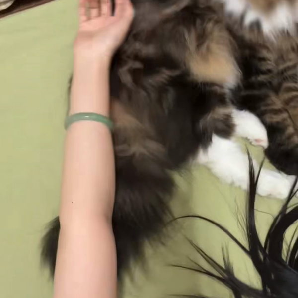 Jane